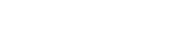 Systems Innovation Zone Group